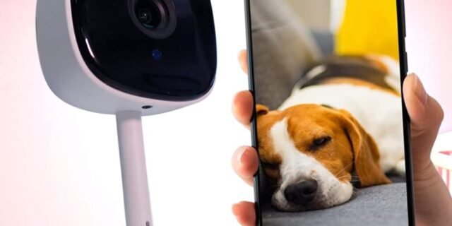 Câmera de Segurança Interna Haiz Smart Compatível com Alexa Wi-fi HZ-K258 Branco Haiz