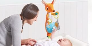 61PlE6FBUdL._AC_SL1233_