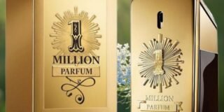 349931690_765966628328385_4464421338784380297_n