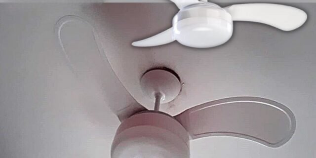 Ventilador de Teto, Petit Premium, Branco, 127v, Ventisol