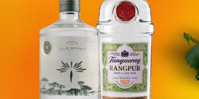 Velvo Botanic 800ml + Tanqueray Rangpur 700ml