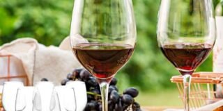 351113934_566769342038223_7061042428143384301_n