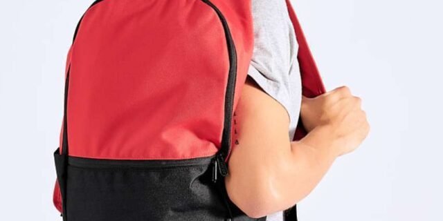 Mochila Adidas Lin Clas Bp Day