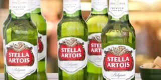 351552050_1640278173147427_5988188528044771864_n