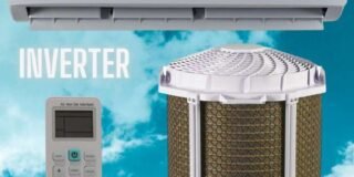 352129704_291448556580249_4285829067802233612_n