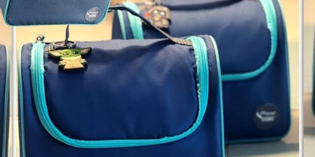 Lancheira Termica Com Alca De Mao Picnik Origins Maped Azul