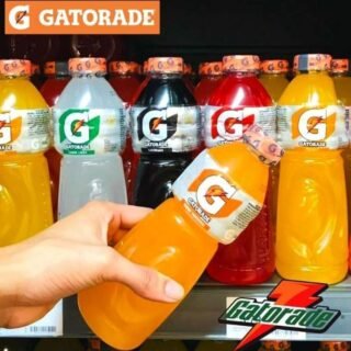 Isotônico Gatorade Garrafa 500ml (Vários Sabores)