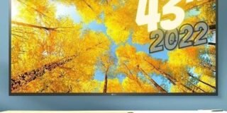 352396026_1321730168382789_1537373889838938624_n