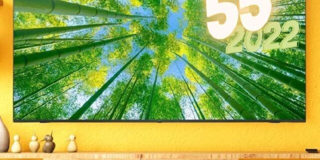 Smart TV LED 55″ 4K UHD LG 55UQ8050PSB