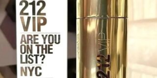 355298058_289729996752239_2405488143072481839_n