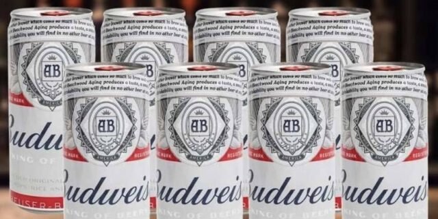 Cerveja Budweiser American Lager 8 Unidades – Lata 269ml