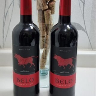 Vinho Belo Tempranillo 2020 Tinto Espanha 750ml