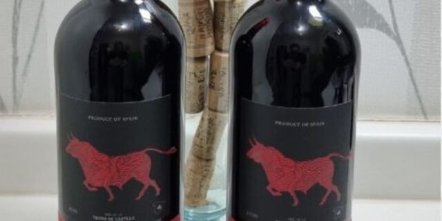 Vinho Belo Tempranillo 2020 Tinto Espanha 750ml