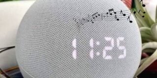 357718775_1202004484534236_8072367769169677508_n