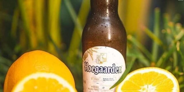 Cerveja de Trigo HOEGAARDEN 330 ML Long Neck
