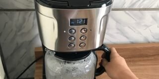 358407129_1645392949292498_1636594513794028979_n