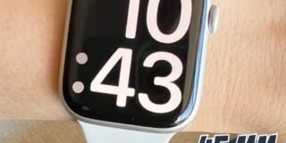 358449377_1649694942195632_7264973730945331552_n