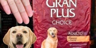 358628097_1202713784463306_8648063337693268791_n