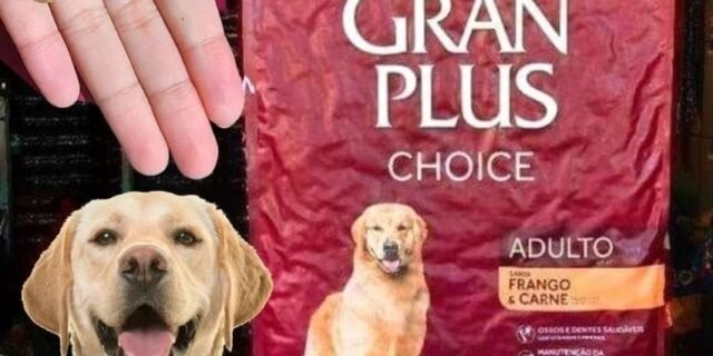 Ração GranPlus Choice Frango e Carne Cães Adultos 10,1 kg