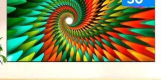 360100554_304096855315553_3158879958939970949_n