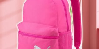 362273775_857904179094269_235335571115350729_n