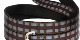 61addzJ3tUL._AC_SL1000_