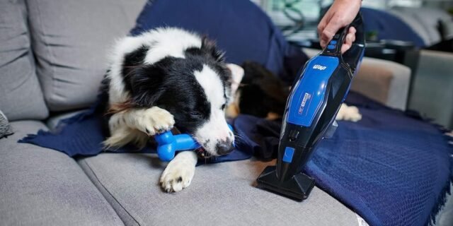 Extratora de Sujeira Portátil WAP PET CLEANER MOB 4 em 1 Aspira Borrifa Esfrega Extrai 120W Bivolt Sem Fio a Bateria