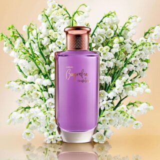 Biografia Encontros Desodorante Colônia Feminino 100ml