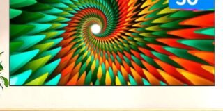 384572361_901486228069397_1230321367928467191_n