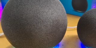 385777559_721440629999580_5666341534905273938_n
