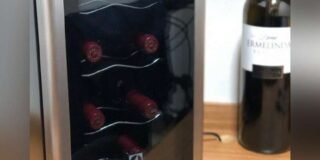 395716137_733915208752122_3592586191369968448_n