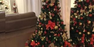 396716333_737576398386003_1948983537158753441_n