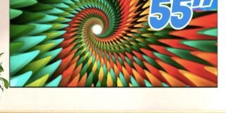 397475481_737659315044378_5256934297305549608_n