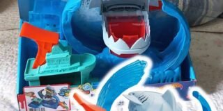 399368315_927539545464065_2560542202087308148_n