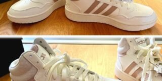 399479152_742066531270323_2231548448305299307_n