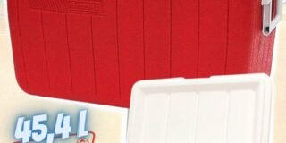 399657811_927556108795742_7187951941496281914_n