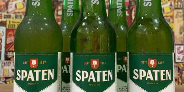Cerveja Spaten Puro Malte, Long Neck com 355ml