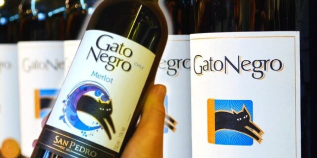 Vinho Gato Negro Merlot 750Ml