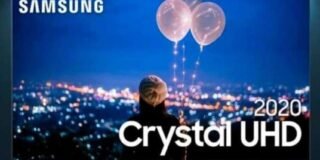 399904643_929476381937048_5332238324189418226_n