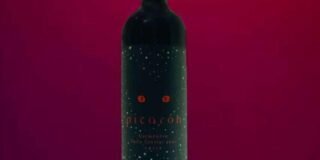 399948260_928255025392517_1181845274949995451_n