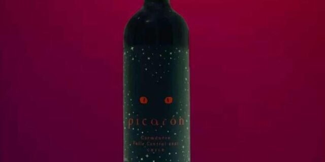 Vinho Picarón Carmenere 750ml
