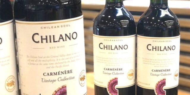 Vinho Chileno Chilano 750ml (Várias Opções)