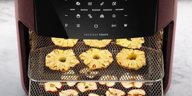 Fritadeira Elétrica sem oleo Forno Oven Airfryer 12L 127V