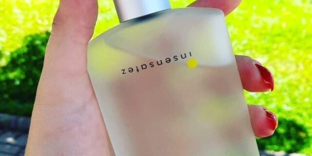 Insensatez Desodorante Colônia 100ml