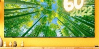 402013889_936361707915182_5116296433702358939_n