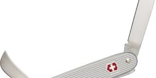 71BD-D1qF5L._AC_SL1500_