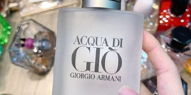 Acqua Di Giò Homme Giorgio Armani Masculino EDT 100ml