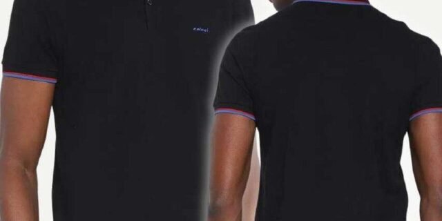 Camisa Polo Colcci Frisos Masculina