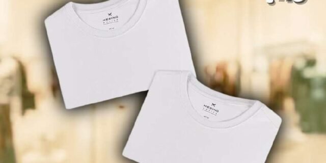 Camiseta CAMISETAS, Hering, Masculino