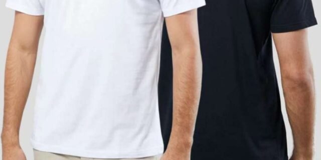 Kit 2 Camisetas Brasa Pica Pau Bordado Reserva